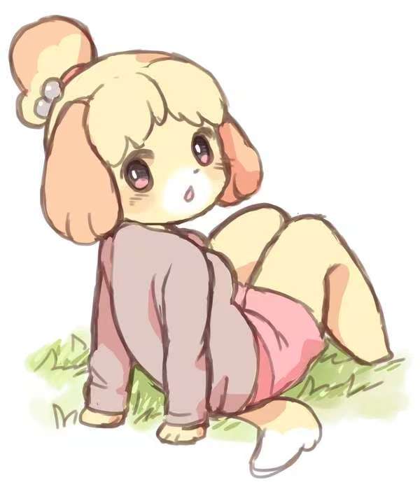轮播图1